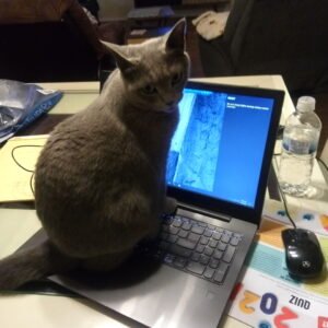 Cat Computing